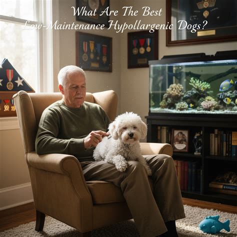 What Are the Best Low-Maintenance Hypoallergenic Dogs? - Pet Health Advisor