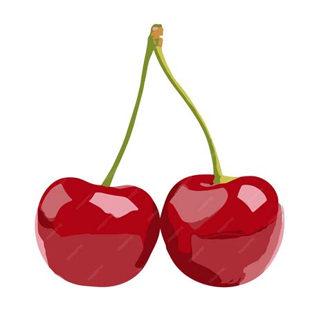 Premium Vector | Clip art vector cherry