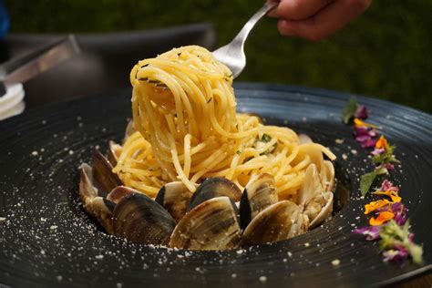 Image result for Seashell for Cooking