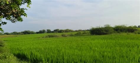 Best Top Rated Park in Thol, Gujarat, India | Yappe.in