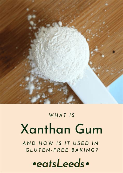 Xanthan gum substitute – Artofit