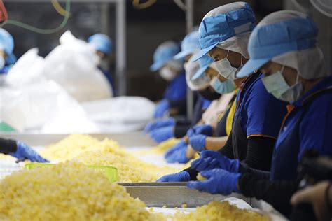 Example of a Limited Partnership 的图像结果