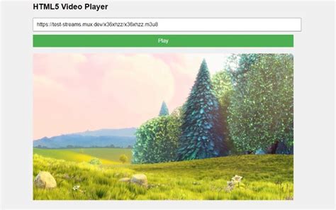 Image result for What Is HTML5 Video Player