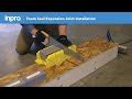 1150 Series Foam Seal | 1150-series-foam-seal-1 | Inpro Corporation