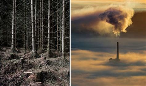 Image result for Spring File 4 Pack
