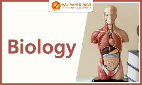 Upanishads, Meaning, Origin, Concepts, Division, Importance