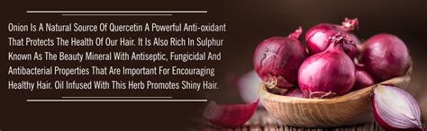 Buy Luxura Sciences Concentrated Onion Oil for Hair Growth 30 ml Online ...