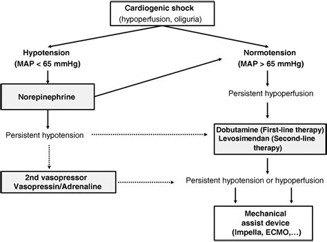 The medical treatment of cardiogenic shock | Medicina Intensiva