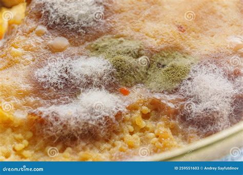 Close Up. Multi-colored Mold on Canned Food. Spoiled Products. Stock ...