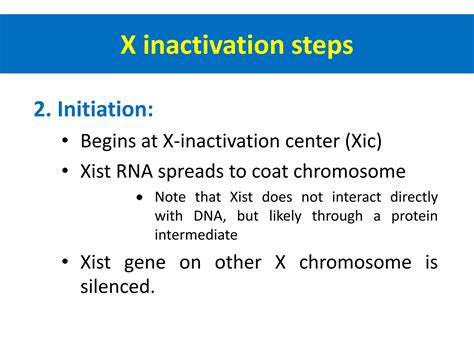 X chromosome Inactivation | PPTX