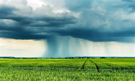 Rainfall From Clouds