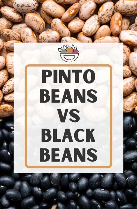 Pinto Beans Vs Broccoli Carbohydrates at Amelie Woolley blog