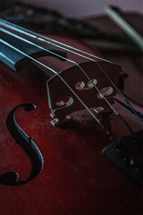 Image result for Onehotencoder Python