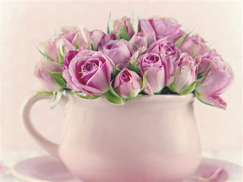 #775258 4K, Roses, Pink color - Rare Gallery HD Wallpapers