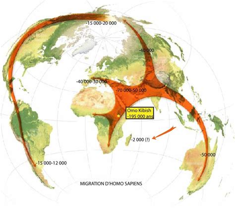 Carte Migration Homo Sapiens – Migration Du Homo Sapiens Exemple – SFSPF