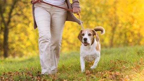 Ask Hand Therapist Trevor: Why do my hands swell when I walk? I Grace – Grace & Able