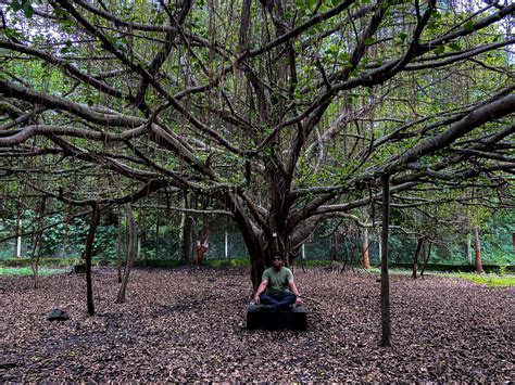 Saputara Hill Station in Gujarat - Travel Guide | Shoestring Travel ...