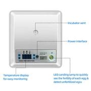 Buy Egg Incubator for Hatching Eggs, Digital Mini Incubator with ...