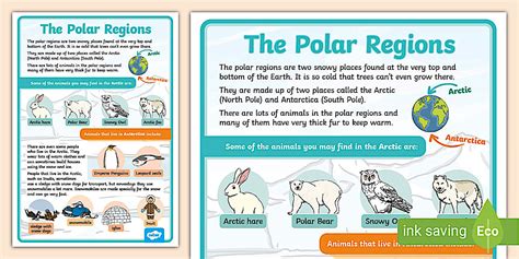 Polar Regions Large Information Poster