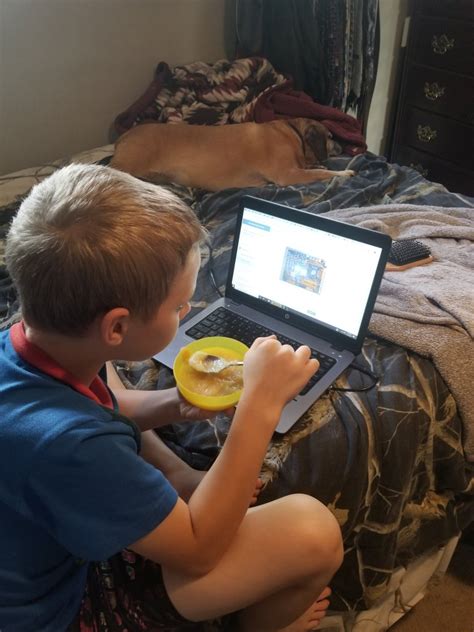 Image result for Coding House On Python