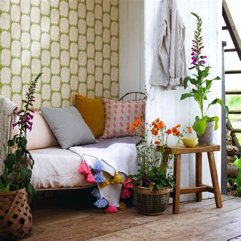 Can you water plants with dehumidifier water? | Ideal Home