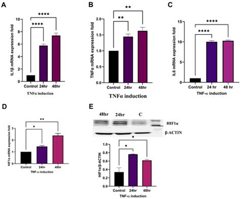Functional Significance of miR-4693-5p in Targeting HIF1α and Its Link ...