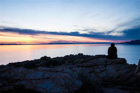 Reflection Math 的图像结果