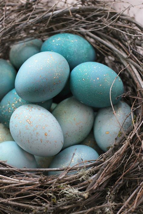 What Colors Make Robin S Egg Blue at Josiah Perez blog