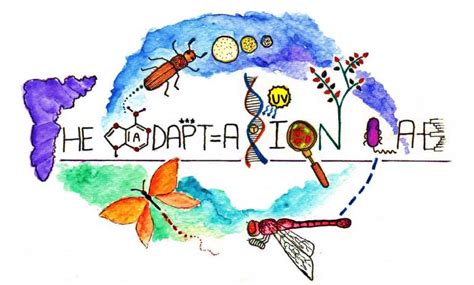 Welcome to Deepa Agashe’s lab at the National Centre for Biological ...