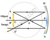 Draw the Ray Diagram and Also State the Position, the Relative Size and ...