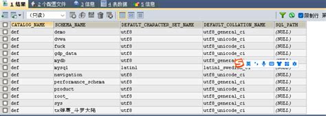 Information schema Databases 的图像结果