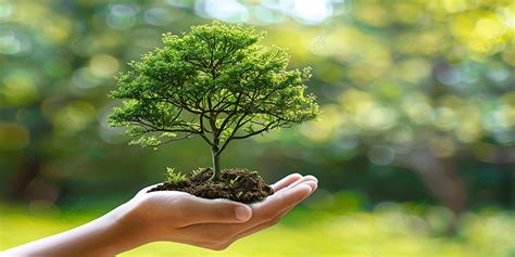 Environment Setting 的图像结果