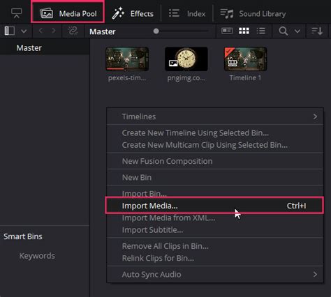 Image result for DaVinci Resolve Track Object