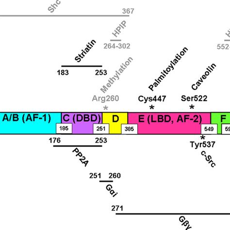 Most Common Post Translation Modification of Protein 的图像结果