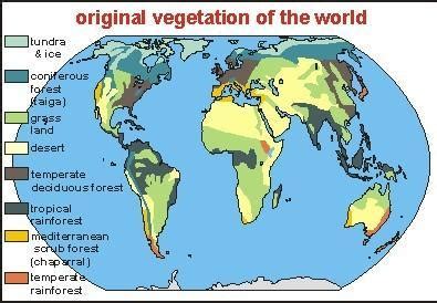 what do you know about the natural vegetation of the world ? show their ...