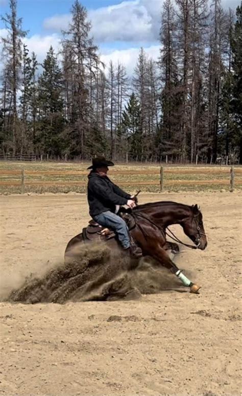 Kyle Weston Reining & Horsemanship Clinic, Williams Lake B.C, 19 ...