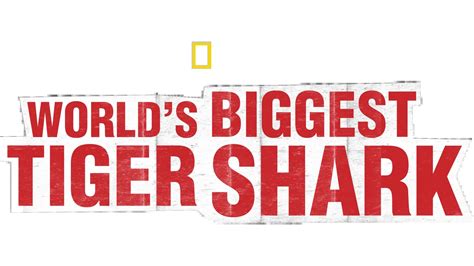 Watch World’s Biggest Tiger Shark? | Disney+