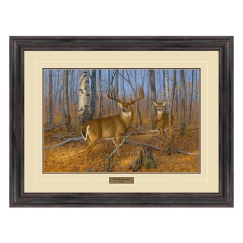 Hayden Lambson The Milo Hanson Buck Framed Artwork | Cabela's