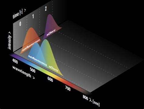 荧光寿命图怎么分析——详细步骤_数据