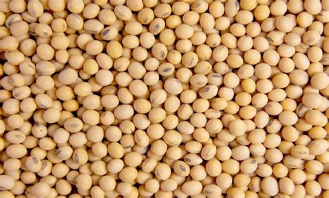 Igrain Posts