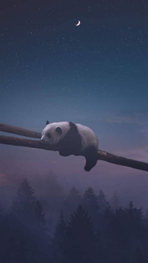 [100+] Love Alone Wallpapers | Wallpapers.com - I'm Alone Wallpapers in Black