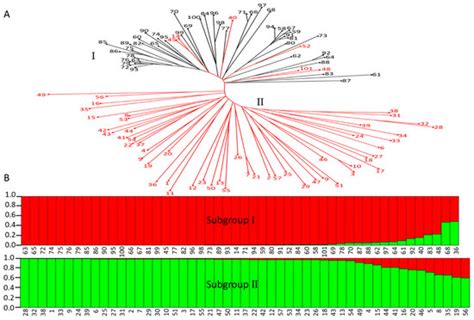 Determination of Predominant Organic Acid Components in Malus Species ...