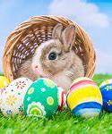 Image result for Stuffed Easter Bunnies