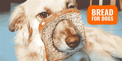 Is Bread Safe For Dogs To Eat