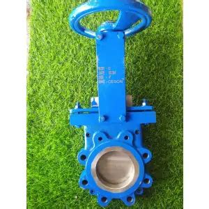 Leading PULP VALVE Manufacturer & Supplier in Ahmedabad