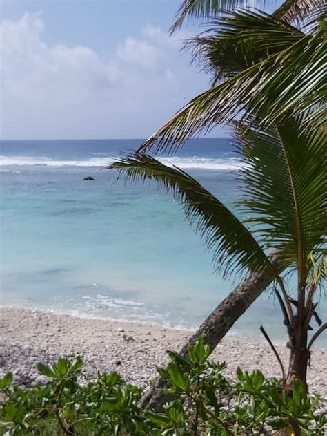SUNSET PALMS RAROTONGA (Southern Cook Islands) - Lodging Reviews ...
