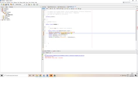 Libreria Scanner Java 的图像结果