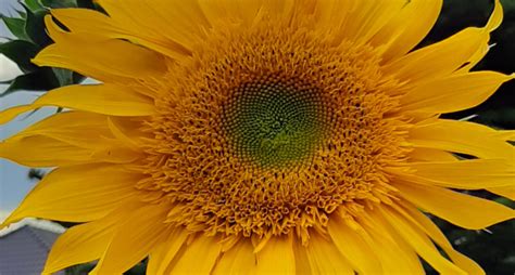 Image result for JavaScript Addition