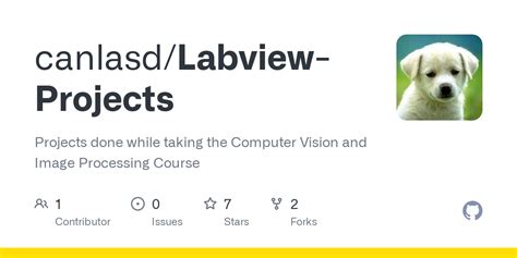 Image result for Running LabVIEW Project