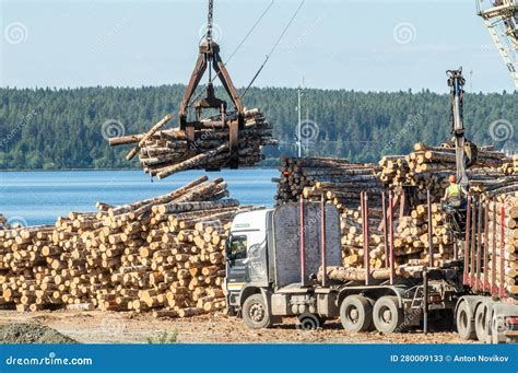 Logging 的图像结果